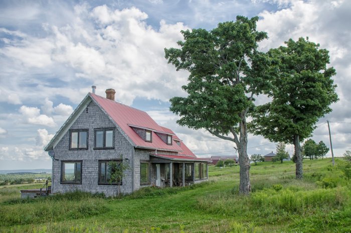 Moran’s Oyster Cottage (пригород Голуэя, Ирландия)