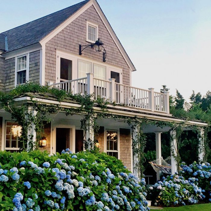 Домик гортензия Шеварднадзе