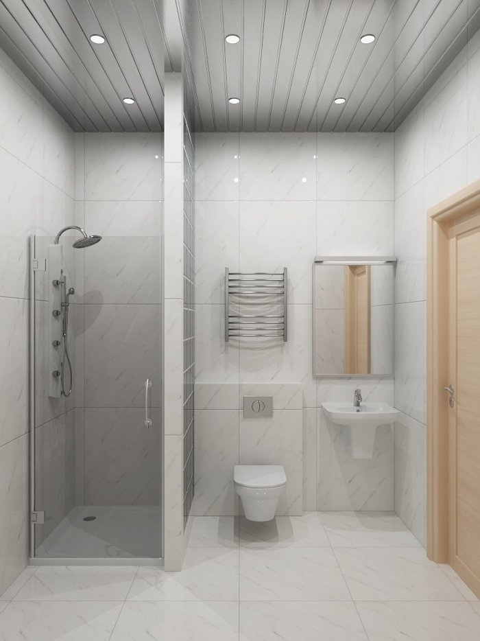 Санузел с душем и туалетом