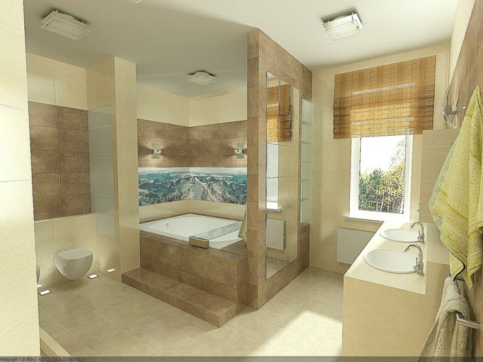 Зонирование ванной комнаты в частном доме