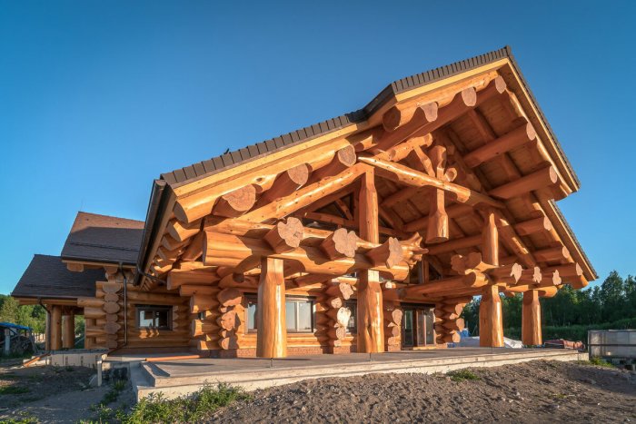 Канадская рубка кедр