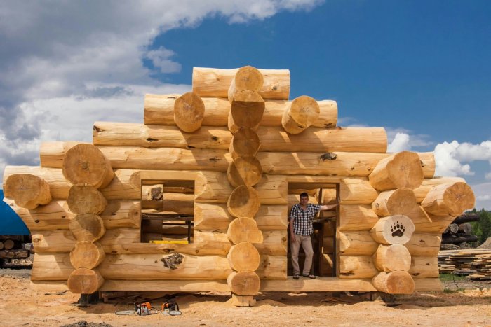 Канадский сруб дикий