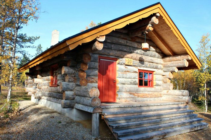 Карельская сосна кело баня