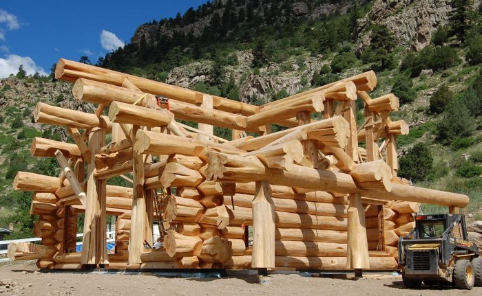 Канадская рубка кедр