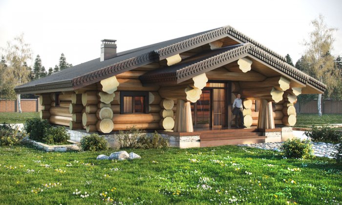 Дом баня дикий сруб проекты