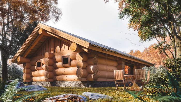 Дом баня дикий сруб проекты