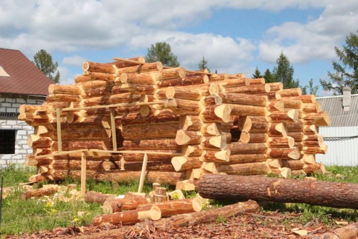 Срубовая баня в диком стиле