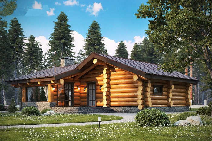 Дикий сруб бани