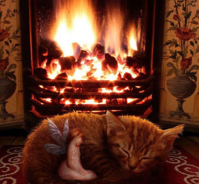 Котик у камина