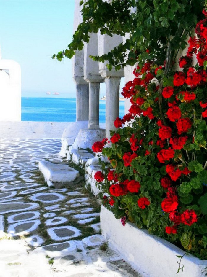 Цветы и море