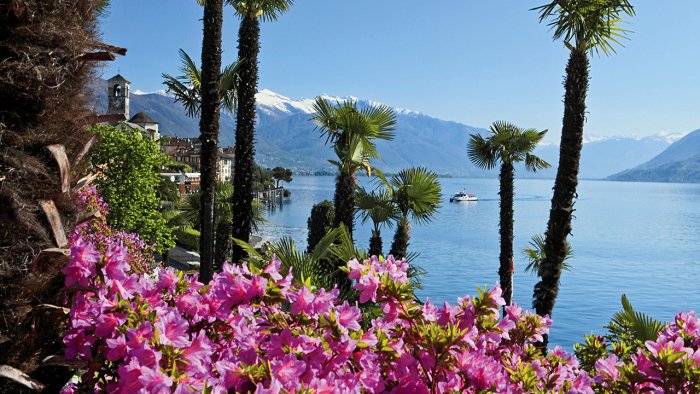 Климат зоны субтропиков