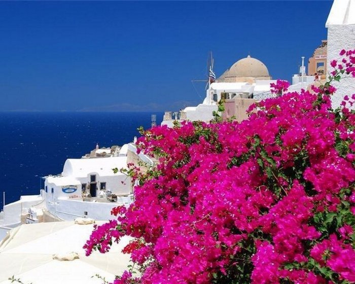 Санторини цветы Греция