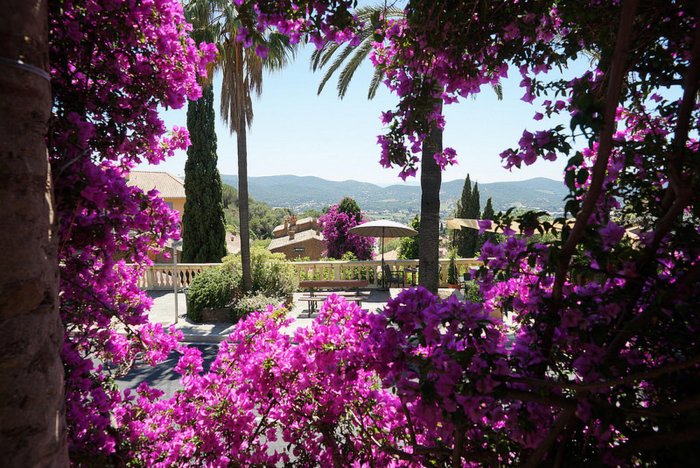 Срединоземноморье побережья цветущие сады