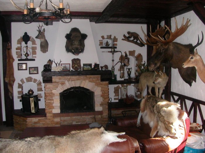 Чучела в интерьере