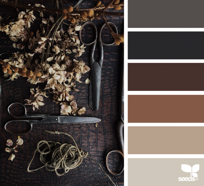 Палитры цветов коричневый
