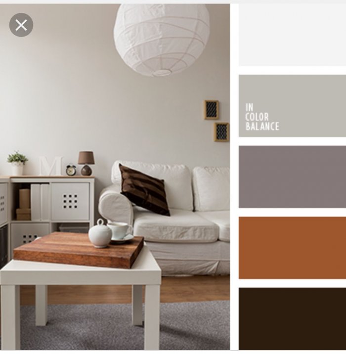 Цветовое сочетание серый бежевый