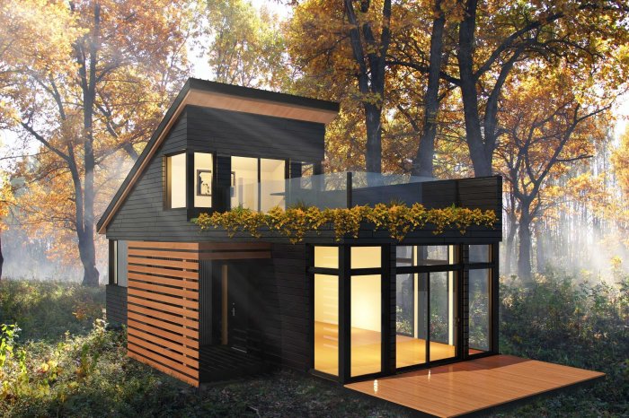 Минидом проект твинхауса