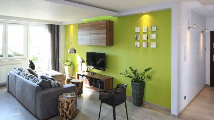 Зеленый цвет стен