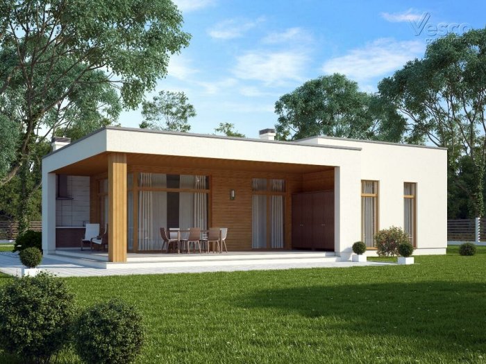 Современный одноэтажный дом