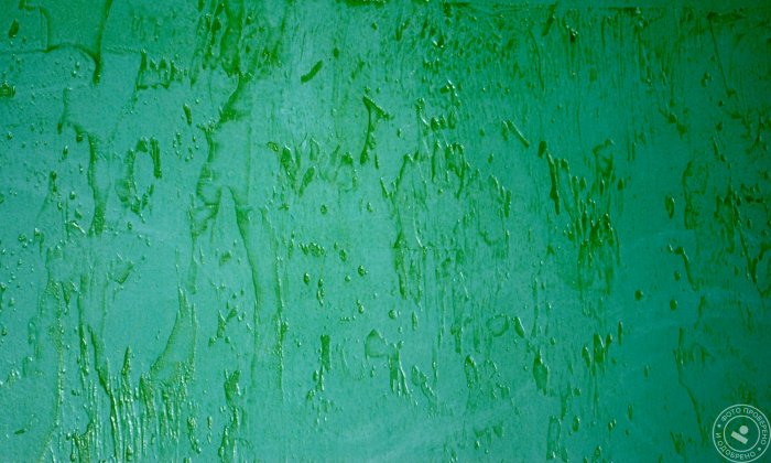 Короед штукатурка