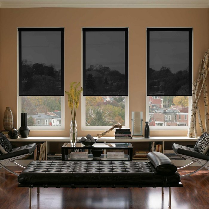 Рулонные шторы темные