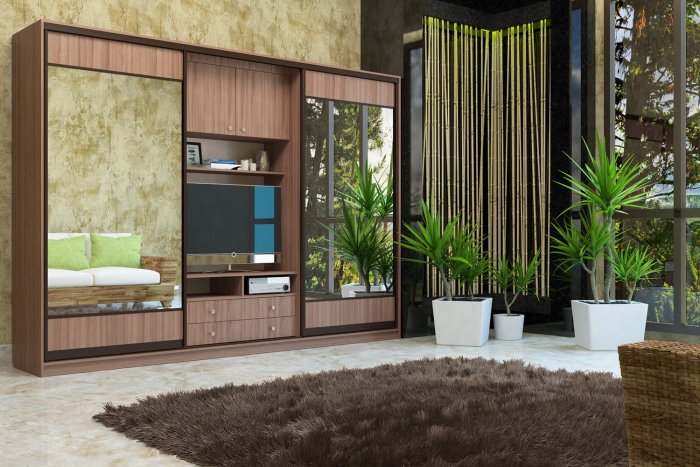 Шкаф с телевизором в спальню