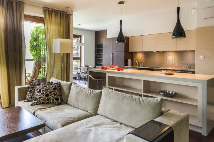 Кухонная зона - гостиная