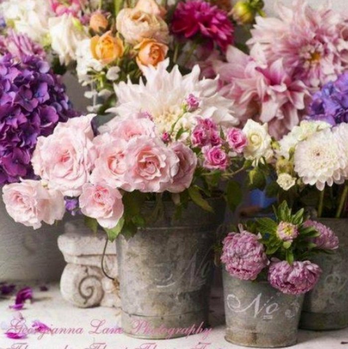 Прованс в цветах