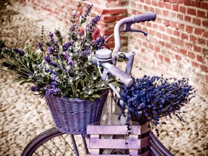 Велосипед в стиле Прованс