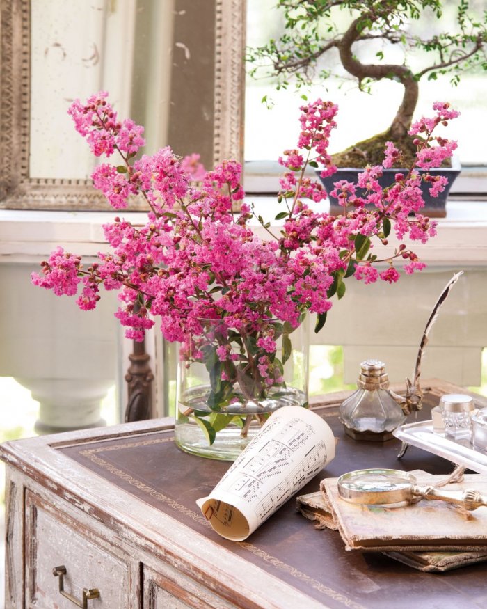 Красивые цветы в интерьере