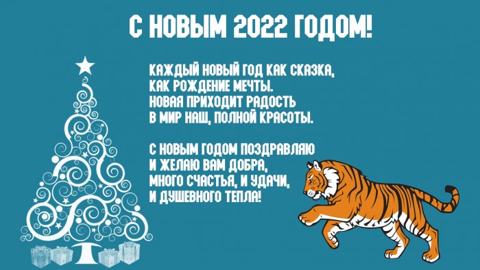 Красивый образ на Новый год 2022 года голубого водяного тигра (52 фото)