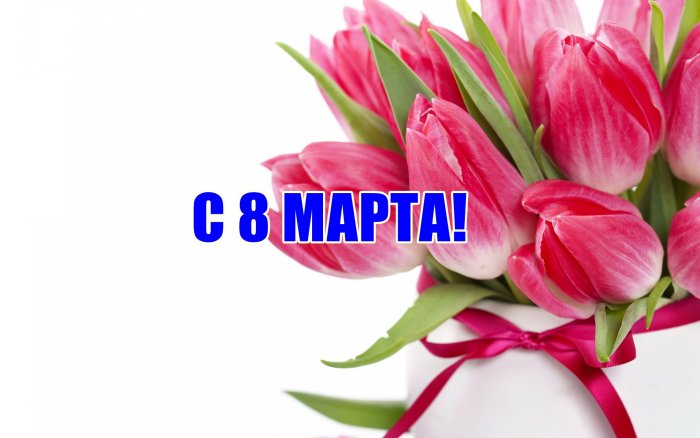 Рамка ромашки