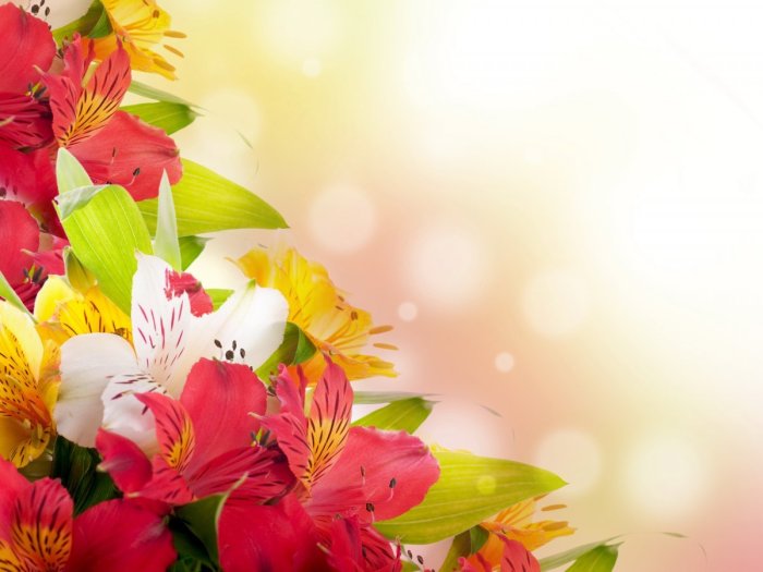 Алёна с днём рождения поздравления