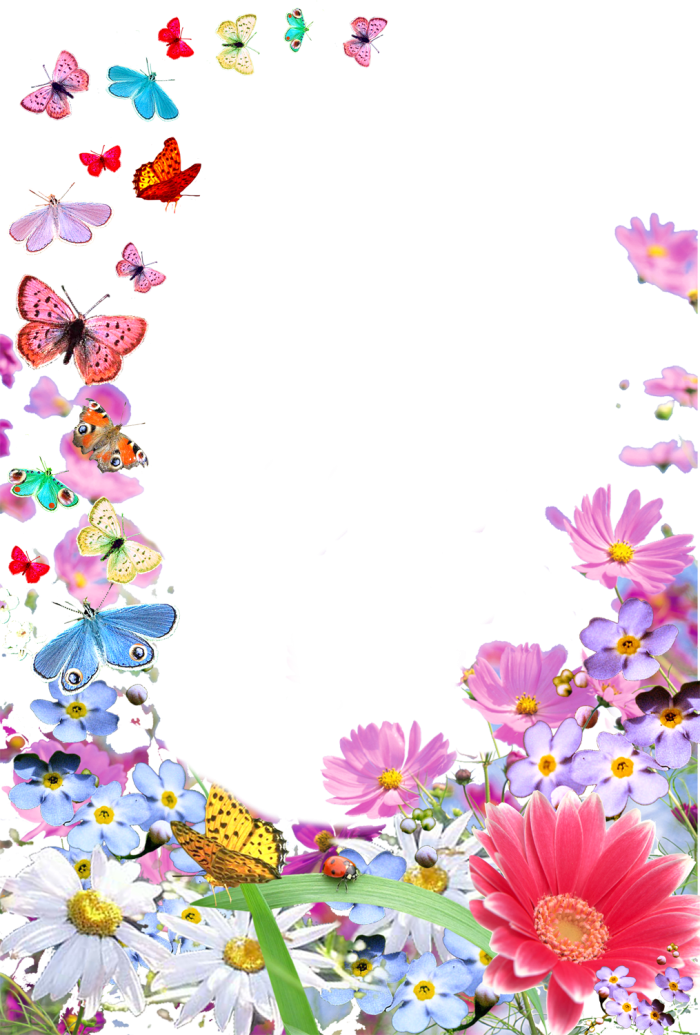 Красивые разноцветные тюльпаны