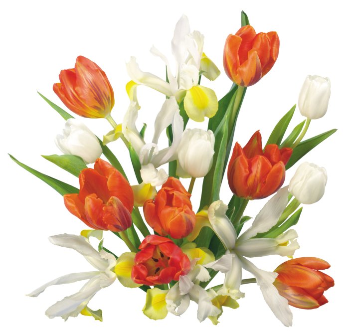 Фон для портфолио