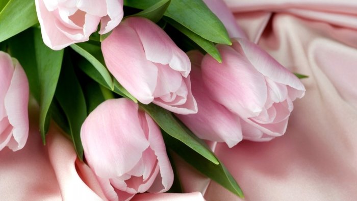 Поздравление с 8 марта