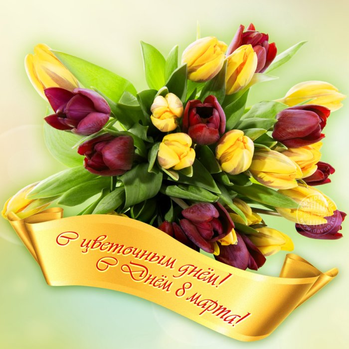 С 8 марта розы