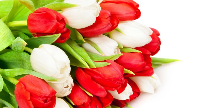 Поздравление с 8 марта