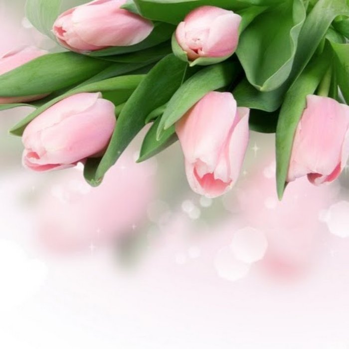 С наступающим 8 марта тюльпаны