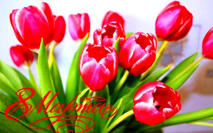 Тюльпаны Попугайные микс