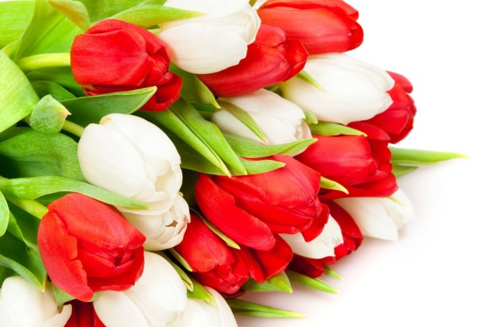Цветы на 8 марта
