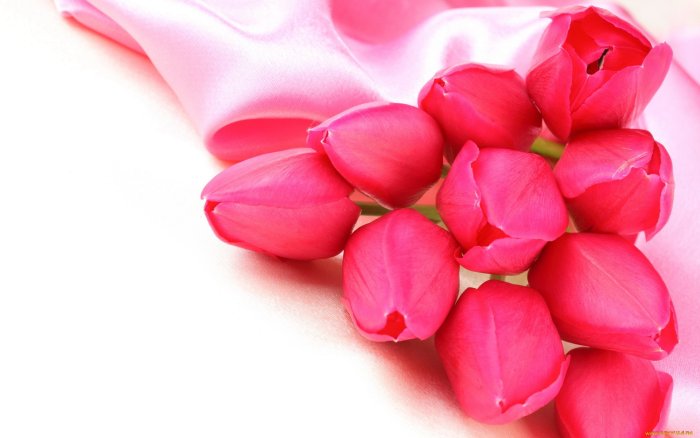 Тюльпаны фон для открытки