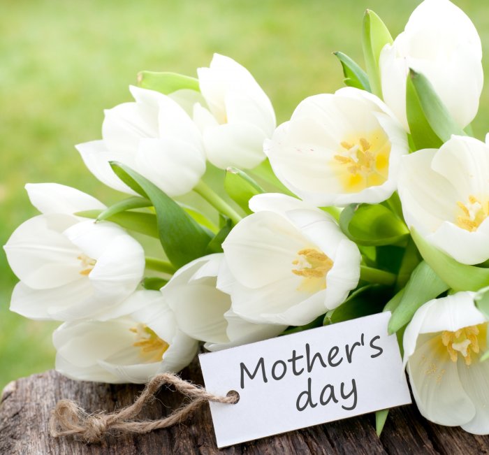 Весенние цветы и женщина