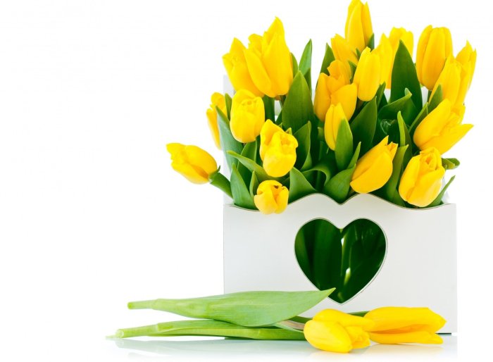Букет тюльпанов