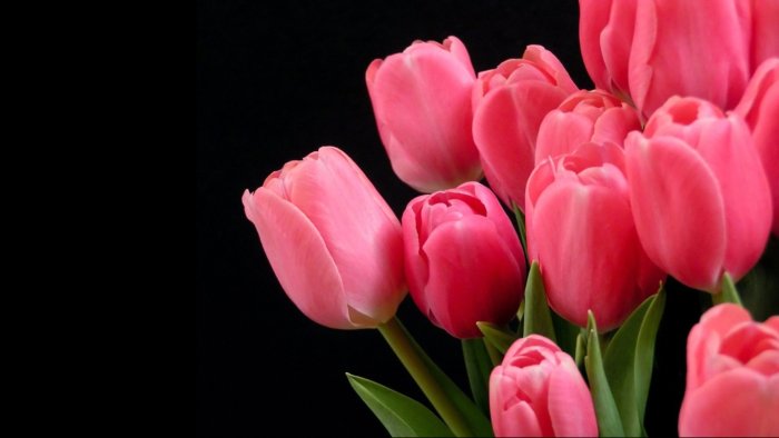 Поздравления с 8 марта анимация