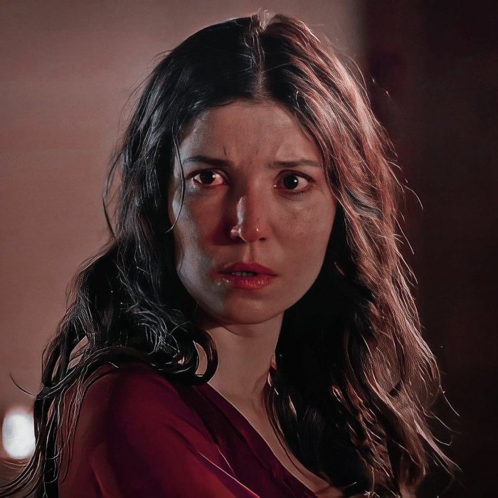 Великолепный век