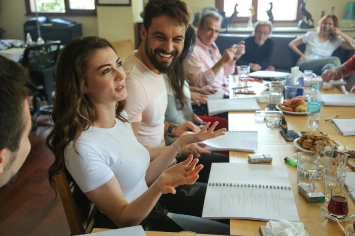 Замечательный зять турецкий сериал