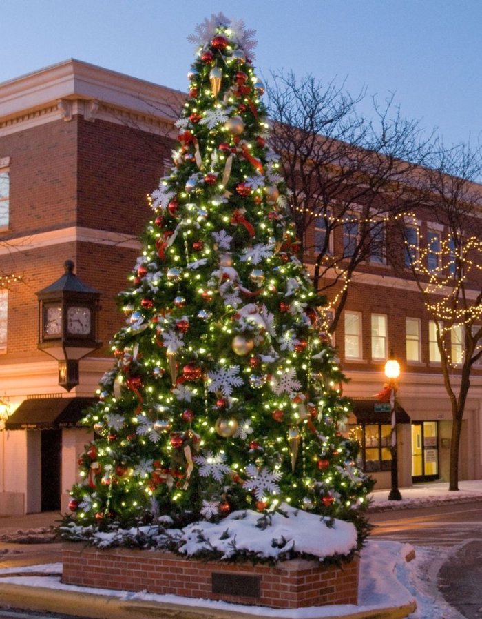 Красивые уличные елки