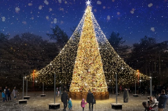 Главная елка Липецка