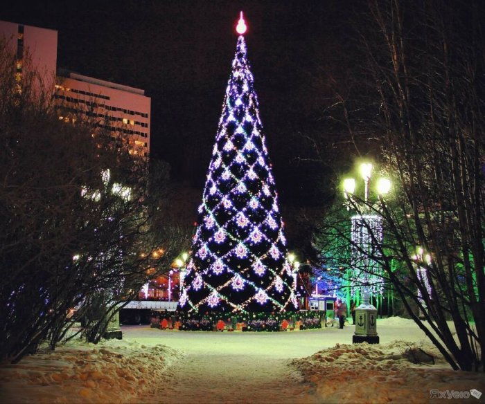 Красивые уличные елки